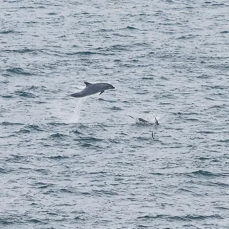 Apartment Casa Santini *